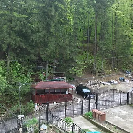 Gazde/Camere de închiriat Alpina Olănești *